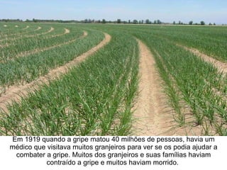 Em 1919 quando a gripe matou 40 milhões de pessoas, havia um médico que visitava muitos granjeiros para ver se os podia ajudar a combater a gripe. Muitos dos granjeiros e suas famílias haviam contraído a gripe e muitos haviam morrido.  