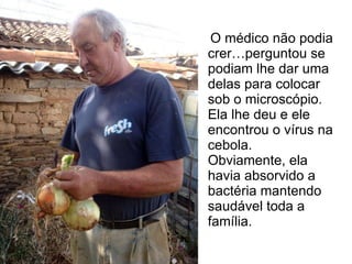 O médico não podia crer…perguntou se podiam lhe dar uma delas para colocar sob o microscópio. Ela lhe deu e ele encontrou o vírus na cebola.  Obviamente, ela havia absorvido a bactéria mantendo saudável toda a família. 