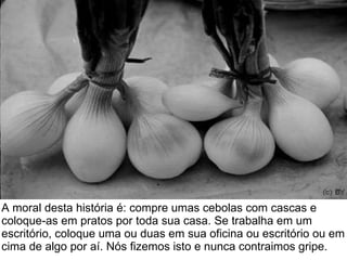 A moral desta história é: compre umas cebolas com cascas e coloque-as em pratos por toda sua casa. Se trabalha em um escritório, coloque uma ou duas em sua oficina ou escritório ou em cima de algo por aí. Nós fizemos isto e nunca contraimos gripe. 