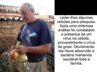 O médico ficou curioso com o procedimento e perguntou se podiam ceder-lhes algumas cebolas para pesquisa. Após uma criteriosa análise foi constatado a presença de um vírus na cebola, provavelmente o vírus da gripe. Obviamente, ela havia absorvido a bactéria mantendo saudável toda a família. 