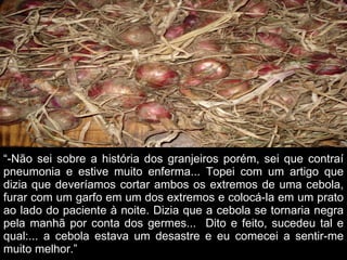 “ -Não sei sobre a história dos granjeiros porém, sei que contraí pneumonia e estive muito enferma... Topei com um artigo que dizia que deveríamos cortar ambos os extremos de uma cebola, furar com um garfo em um dos extremos e colocá-la em um prato ao lado do paciente à noite. Dizia que a cebola se tornaria negra pela manhã por conta dos germes...  Dito e feito, sucedeu tal e qual:... a cebola estava um desastre e eu comecei a sentir-me muito melhor.” 