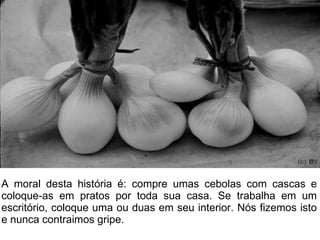 A moral desta história é: compre umas cebolas com cascas e coloque-as em pratos por toda sua casa. Se trabalha em um escritório, coloque uma ou duas em seu interior. Nós fizemos isto e nunca contraimos gripe. 