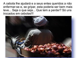 A cebola lhe ajudará e a seus entes queridos a não
enfermar-se e, se gripar, esta poderia ser bem mais
leve... Seja o que seja... Que tem a perder? Só uns
trocados em cebolas!!!
 