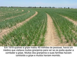 Em 1919 quando a gripe matou 40 milhões de pessoas, havia um
médico que visitava muitos granjeiros para ver se os podia ajudar a
 combater a gripe. Muitos dos granjeiros e suas famílias haviam
           contraído a gripe e muitos haviam morrido.
 