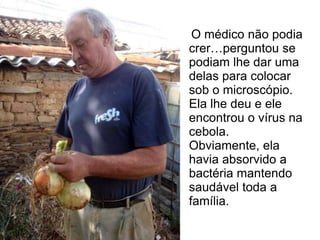 O médico não podia
crer…perguntou se
podiam lhe dar uma
delas para colocar
sob o microscópio.
Ela lhe deu e ele
encontrou o vírus na
cebola.
Obviamente, ela
havia absorvido a
bactéria mantendo
saudável toda a
família.
 