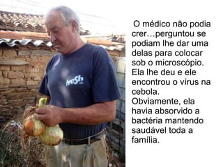 O médico não podia 
crer…perguntou se 
podiam lhe dar uma 
delas para colocar 
sob o microscópio. 
Ela lhe deu e ele 
encontrou o vírus na 
cebola. 
Obviamente, ela 
havia absorvido a 
bactéria mantendo 
saudável toda a 
família. 
 