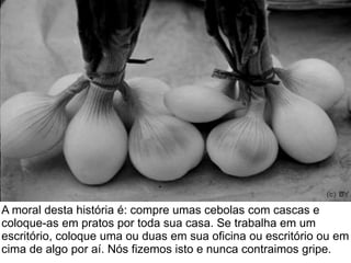 A moral desta história é: compre umas cebolas com cascas e 
coloque-as em pratos por toda sua casa. Se trabalha em um 
escritório, coloque uma ou duas em sua oficina ou escritório ou em 
cima de algo por aí. Nós fizemos isto e nunca contraimos gripe. 
 