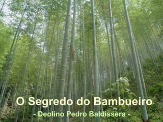 O Segredo do Bambueiro
  - Deolino Pedro Baldissera -
 