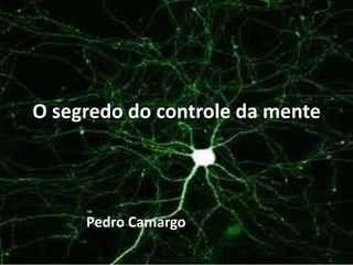 O segredo do controle da mente
Pedro Camargo
 