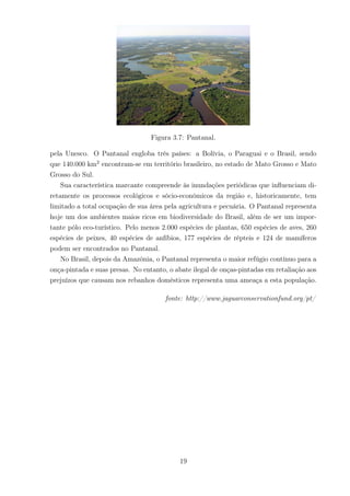 Figura 3.7: Pantanal.
pela Unesco. O Pantanal engloba três países: a Bolívia, o Paraguai e o Brasil, sendo
que 140.000 km2
encontram-se em território brasileiro, no estado de Mato Grosso e Mato
Grosso do Sul.
Sua característica marcante compreende às inundações periódicas que inﬂuenciam di-
retamente os processos ecológicos e sócio-econômicos da região e, historicamente, tem
limitado a total ocupação de sua área pela agricultura e pecuária. O Pantanal representa
hoje um dos ambientes maios ricos em biodiversidade do Brasil, além de ser um impor-
tante pólo eco-turístico. Pelo menos 2.000 espécies de plantas, 650 espécies de aves, 260
espécies de peixes, 40 espécies de anfíbios, 177 espécies de répteis e 124 de mamíferos
podem ser encontrados no Pantanal.
No Brasil, depois da Amazônia, o Pantanal representa o maior refúgio contínuo para a
onça-pintada e suas presas. No entanto, o abate ilegal de onças-pintadas em retaliação aos
prejuízos que causam nos rebanhos domésticos representa uma ameaça a esta população.
fonte: http://www.jaguarconservationfund.org/pt/
19
 
