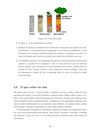 Figura 5.9: Ciclo das rochas.
1. A chuva e o vento desintegram as rochas.
2. Pedaços de liquens ou sementes são levados pelo vento para uma região sem vida.
A instalação e a reprodução desses organismos vão aos poucos modiﬁcando o local.
Os liquens, por exemplo, produzem ácidos que ajudam a desagregar as rochas. As
raízes de plantas que crescem nas fendas das rochas irão contribuir para isso.
3. A medida que morrem, esses organismos enriquecem o solo em formação com matéria
orgânica e, quando ela se decompõe, o solo se torna mais rico em sais minerais.
Outras plantas, que necessitam de mais nutrientes para crescer, podem então se
instalar no local. Começa a ocorrer o que se chama de sucessão ecológica: uma série
de organismos se instala até que a vegetação típica do solo e do clima da região
esteja formada.
5.6 O que existe no solo
Há muitos tipos de solo. A maioria deles é composta de areia e argila, vindas da frag-
mentação das rochas, e de restos de plantas e animais mortos (folhas, galhos, raízes, etc.).
Esses restos estão sempre sendo decompostos por bactérias e fungos, que produzem uma
matéria orgânica escura, chamadas húmus. À medida que a decomposição continua, o hú-
mus vai sendo transformado em sais minerais e gás carbônico. Ao mesmo tempo, porém,
mais animais e vegetais se depositam no solo e mais húmus é formado.
A decomposição transforma as substâncias orgânicas do húmus em substâncias mine-
rais, que serão aproveitadas pelas plantas. Desse modo, a matéria é reciclada: a matéria
que formava o corpo dos seres vivos acabará fazendo novamente parte deles depois de
decomposta.
30
 