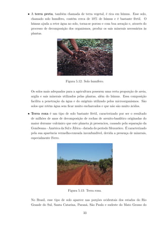 • A terra preta, também chamada de terra vegetal, é rica em húmus. Esse solo,
chamado solo humífero, contém cerca de 10% de húmus e é bastante fértil. O
húmus ajuda a reter água no solo, torna-se poroso e com boa aeração e, através do
processo de decomposição dos organismos, produz os sais minerais necessários às
plantas.
Figura 5.12: Solo humífero.
Os solos mais adequados para a agricultura possuem uma certa proporção de areia,
argila e sais minerais utilizados pelas plantas, além do húmus. Essa composição
facilita a penetração da água e do oxigênio utilizado pelos microorganismos. São
solos que retêm água sem ﬁcar muito encharcados e que não são muito ácidos.
• Terra roxa é um tipo de solo bastante fértil, caracterizado por ser o resultado
de milhões de anos de decomposição de rochas de arenito-basáltico originadas do
maior derrame vulcânico que este planeta já presenciou, causado pela separação da
Gondwana - América da Sul e África - datada do período Mezozóico. É caracterizado
pela sua aparência vermelho-roxeada inconfundível, devida a presença de minerais,
especialmente Ferro.
Figura 5.13: Terra roxa.
No Brasil, esse tipo de solo aparece nas porções ocidentais dos estados do Rio
Grande do Sul, Santa Catarina, Paraná, São Paulo e sudeste do Mato Grosso do
33
 