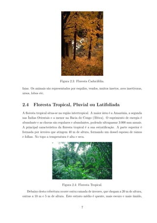 Figura 2.3: Floresta Caducifólia.
faias. Os animais são representados por esquilos, veados, muitos insetos, aves insetívoras,
ursos, lobos etc.
2.4 Floresta Tropical, Pluvial ou Latifoliada
A ﬂoresta tropical situa-se na região intertropical. A maior área é a Amazônia, a segunda
nas Índias Orientais e a menor na Bacia do Congo (África). O suprimento de energia é
abundante e as chuvas são regulares e abundantes, podendo ultrapassar 3.000 mm anuais.
A principal característica da ﬂoresta tropical é a sua estratiﬁcação. A parte superior é
formada por árvores que atingem 40 m de altura, formando um dossel espesso de ramos
e folhas. No topo a temperatura é alta e seca.
Figura 2.4: Floresta Tropical.
Debaixo desta cobertura ocorre outra camada de árvores, que chegam a 20 m de altura,
outras a 10 m e 5 m de altura. Este estrato médio é quente, mais escuro e mais úmido,
7
 