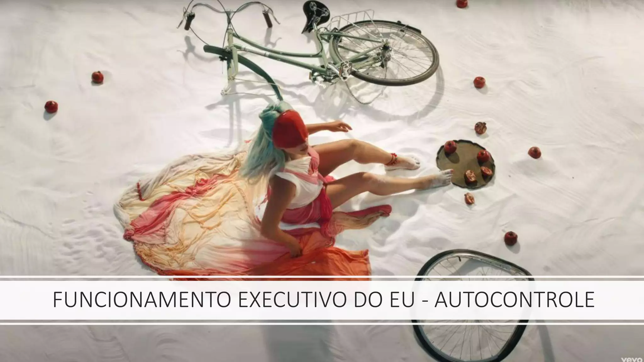 FUNCIONAMENTO EXECUTIVO DO EU - AUTOCONTROLE
 