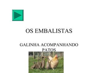 OS EMBALISTAS

GALINHA ACOMPANHANDO
        PATOS
 
