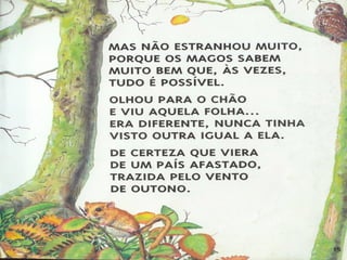 O senhor mago e a folha