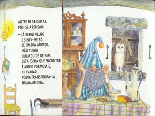 O senhor mago e a folha