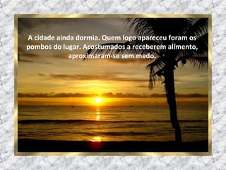 A cidade ainda dormia. Quem logo apareceu foram os pombos do lugar. Acostumados a receberem alimento, aproximaram-se sem medo. 