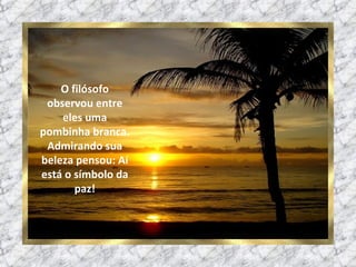 O filósofo observou entre eles uma pombinha branca. Admirando sua beleza pensou: Aí está o símbolo da paz! 