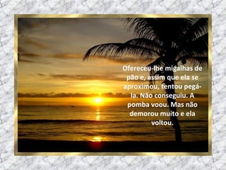 Ofereceu-lhe migalhas de pão e, assim que ela se aproximou, tentou pegá-la. Não conseguiu. A pomba voou. Mas não demorou muito e ela voltou. 