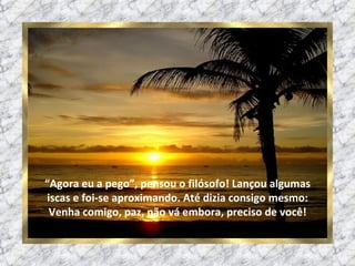 “ Agora eu a pego”, pensou o filósofo! Lançou algumas iscas e foi-se aproximando. Até dizia consigo mesmo: Venha comigo, paz, não vá embora, preciso de você! 