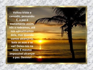 Voltou triste e cansado, pensando: É, a paz é exatamente assim, nós a rodeamos, até nos aproximamos dela, mas quando vamos alcançá-la, bate as asas e se vai! Deixa-nos na mão. É mesmo impossível alcançar a paz. Desisto! 