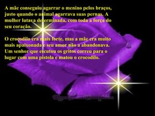 A mãe conseguiu agarrar o menino pelos braços,
justo quando o animal agarrava suas pernas. A
mulher lutava determinada, com toda a força do
seu coração.

O crocodilo era mais forte, mas a mãe era muito
mais apaixonada e seu amor não a abandonava.
Um senhor que escutou os gritos correu para o
lugar com uma pistola e matou o crocodilo.
 