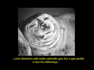 ...você dormirá cada noite sabendo que fez o que podia
                e isso fez diferença,
 