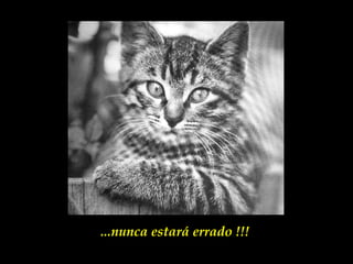 ...nunca estará errado !!!
 