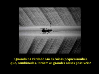 Quando na verdade são as coisas pequenininhas
que, combinadas, tornam as grandes coisas possíveis?
 
