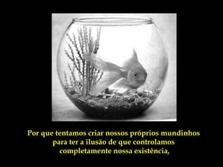 Por que tentamos criar nossos próprios mundinhos
       para ter a ilusão de que controlamos
         completamente nossa existência,
 