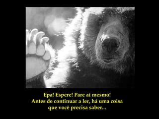 Epa! Espere! Pare aí mesmo!
Antes de continuar a ler, há uma coisa
      que você precisa saber...
 