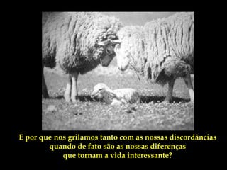 E por que nos grilamos tanto com as nossas discordâncias
        quando de fato são as nossas diferenças
            que tornam a vida interessante?
 