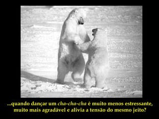 ...quando dançar um cha-cha-cha é muito menos estressante,
    muito mais agradável e alivia a tensão do mesmo jeito?
 