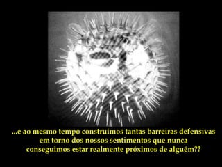 ...e ao mesmo tempo construímos tantas barreiras defensivas
         em torno dos nossos sentimentos que nunca
      conseguimos estar realmente próximos de alguém??
 