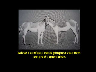Talvez a confusão existe porque a vida nem
           sempre é o que parece.
 