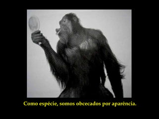 Como espécie, somos obcecados por aparência.
 