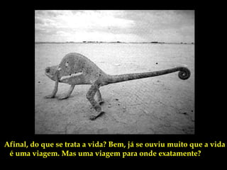 Afinal, do que se trata a vida? Bem, já se ouviu muito que a vida
 é uma viagem. Mas uma viagem para onde exatamente?
 