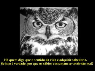 Há quem diga que o sentido da vida é adquirir sabedoria.
Se isso é verdade, por que os sábios costumam se vestir tão mal?
 
