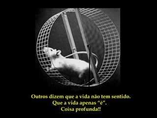 Outros dizem que a vida não tem sentido.
        Que a vida apenas “é”.
           Coisa profunda!!
 