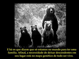 E há os que dizem que só estamos no mundo para ter uma
 família. Afinal, a necessidade de deixar descendentes em
      seu lugar está no mapa genético de todo ser vivo.
 