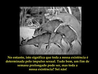 No entanto, isto significa que toda a nossa existência é
determinada pelo impulso sexual. Tudo bem, um fim de
       semana prolongado pode ser, mas toda a
                nossa existência? Sei não!
 