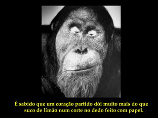 É sabido que um coração partido dói muito mais do que
    suco de limão num corte no dedo feito com papel.
 