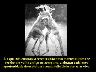 É o que nos encoraja a receber cada novo momento como se
 recebe um velho amigo no aeroporto, a abraçar cada nova
oportunidade de expressar a nossa felicidade por estar vivo.
 