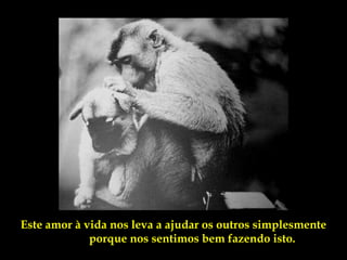 Este amor à vida nos leva a ajudar os outros simplesmente
             porque nos sentimos bem fazendo isto.
 
