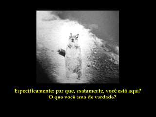 Especificamente: por que, exatamente, você está aqui?
             O que você ama de verdade?
 