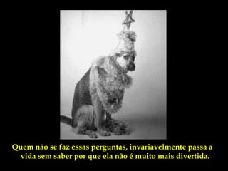 Quem não se faz essas perguntas, invariavelmente passa a
  vida sem saber por que ela não é muito mais divertida.
 