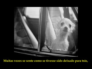 Muitas vezes se sente como se tivesse sido deixado para trás,
 