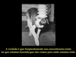 A verdade é que freqüentemente nos concentramos tanto
no que estamos fazendo,que não vemos para onde estamos indo.
 