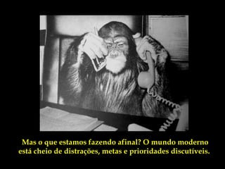 Mas o que estamos fazendo afinal? O mundo moderno
está cheio de distrações, metas e prioridades discutíveis.
 